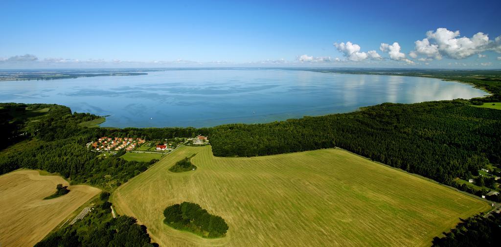 Mueritzparadies - Feriendorf Alte Fahrt Rechlin Bagian luar foto