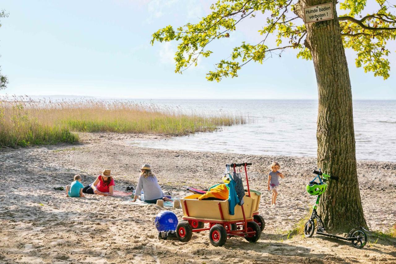 Mueritzparadies - Feriendorf Alte Fahrt Rechlin Bagian luar foto